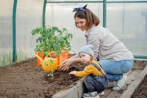 Mother and toddler spend time together planting tomato seedlings in greenhouse.