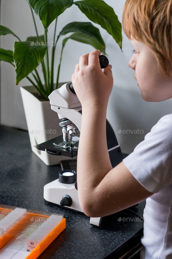 a child studying carefully glasses with laboratory materials under a microscope