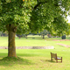 Bench on green lawn in peaceful park - PhotoDune Item for Sale