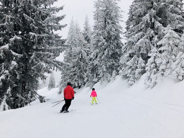 Adult skier teaching little child to ski on a slope surrounded by conifers covered in snow