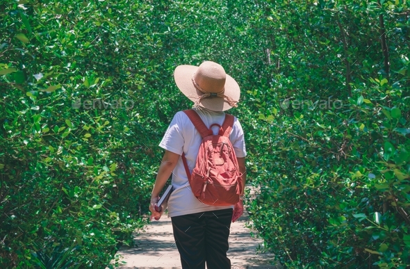 Rear view of female tourist with backpack walking on walkway in mangrove forest in natural parkland