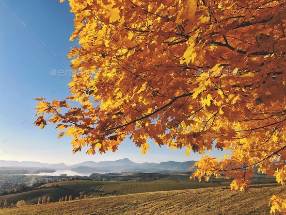 Autumn sunny day, yellow leaves, mountains, blue sky - Stock Photo - Images