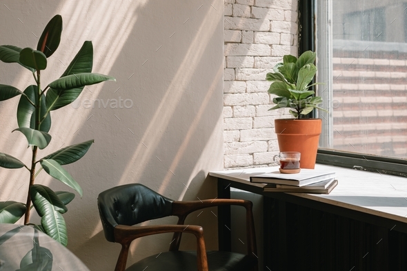 Office interior. Cup of coffee, books, chair, potted plants near window. Shadows on the wall. - Stock Photo - Images