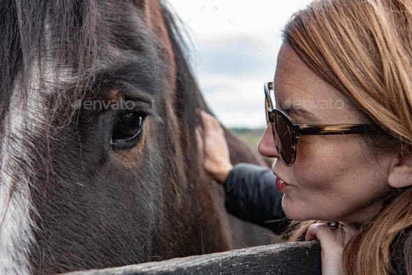 A passionate equestrian lavishes attention on a horse at an equine rescue center.