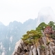 Colorful plants and pine on the top of Granite mountain. The natural scenery of Huangshan mountain.  - PhotoDune Item for Sale