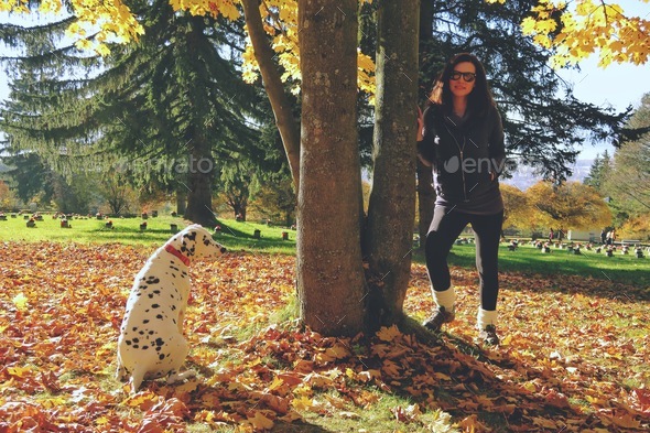 Dalmatian dog and pretty women, autumn sunny day - Stock Photo - Images