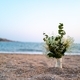 A bouquet of flower arranging for taking wedding photos temporarily planted on the beach. Qingdao.  - PhotoDune Item for Sale