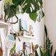Bright home interior design with indoor plants.Decorative elements.Urban jungle concept. - PhotoDune Item for Sale