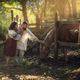 Portrait of a married couple next to a horse in the summer in the village - PhotoDune Item for Sale