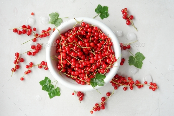 A bowl with red currant on the white background. - Stock Photo - Images