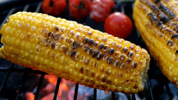 Burnt Golden Color Corn Cob with Cherry Tomato is Fried on Grill or Barbecue Grate with Smoke alt
