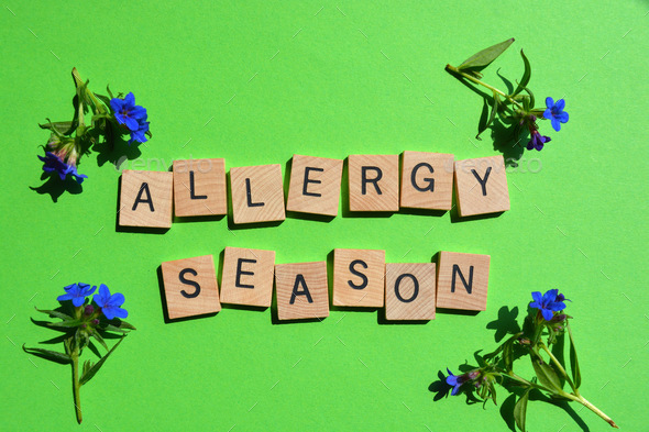 Allergy Season, Words In 3d Wooden Alphabet Letters With Blue Flowers 