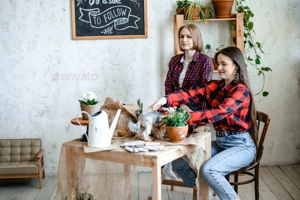 two girls in red plaid shirts and blue jeans are sitting on a chair at the table on which there are