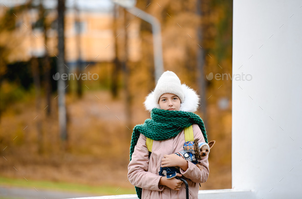 Little girl and little yorkie  - Stock Photo - Images