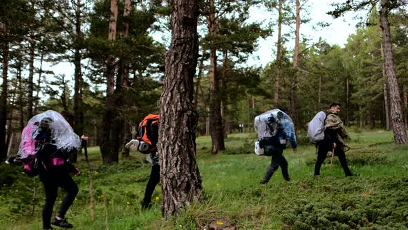 Group Of Young Hikers alt