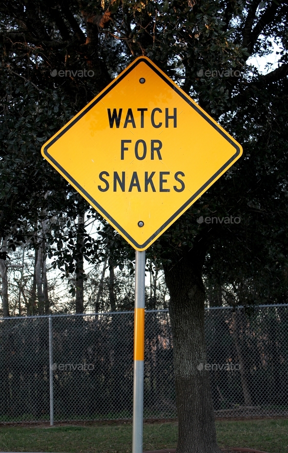 Watch Out For Snakes Warning Sign In Texas Stock Photo By Iheartcreative