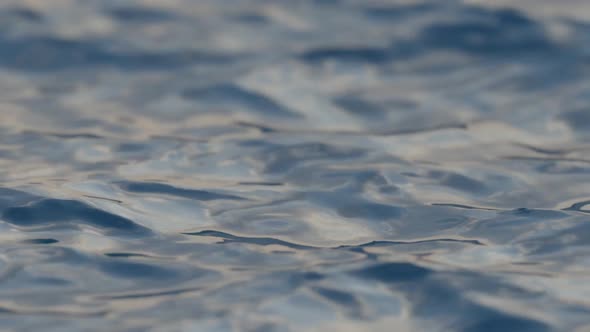 Blue water waves surface, beautiful background with copy space. Small ripples close-up.