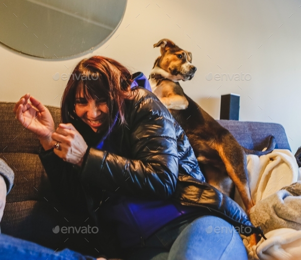 Dog Jumping on Woman Stock Photo by jennimareephoto PhotoDune