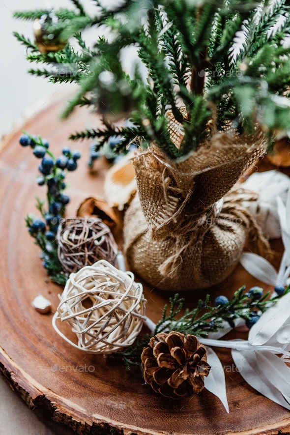 Neutral colors with winter holiday board centerpiece, pine cone, decorative small tree, blueberries - Stock Photo - Images