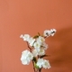 Terracotta colored wall with artificial fake white flowers in front in minimalistic style - PhotoDune Item for Sale