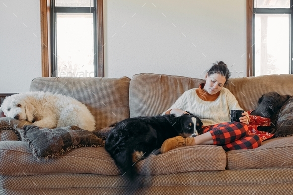 Young woman in cozy casual clothes sitting on sofa with dogs. Animal communication and pets concept