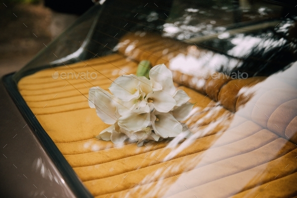 Flowers in vintage retro car - Stock Photo - Images