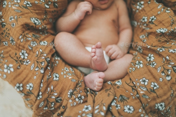 Adorable baby feet. - Stock Photo - Images
