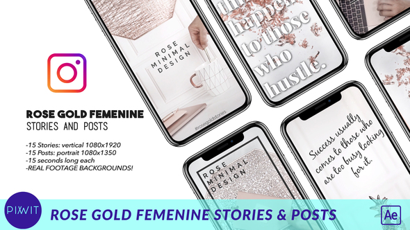 Rose Gold Feminine  Stories and Posts
