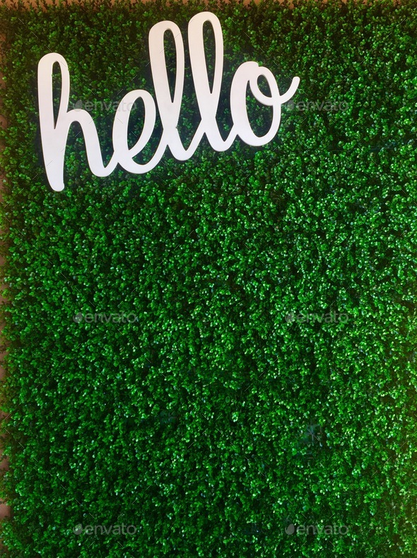 Hello in white letters on a green vine covered wall