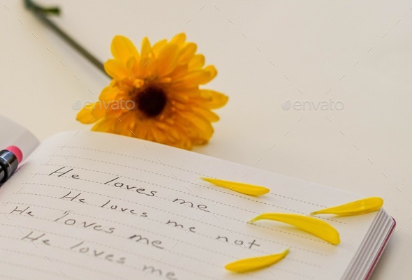 Open journal that says he loves me he loves me not and flower pedals on the page