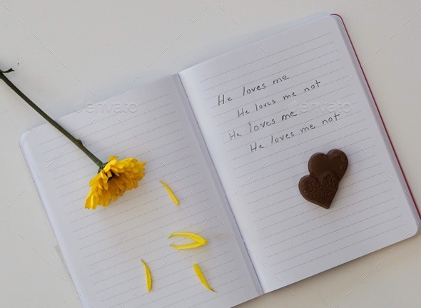 Open journal, he loves me he loves me not, flower and pedals