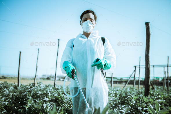 A woman dressed in a white jumpsuit sprays an orchard to avoid pests.