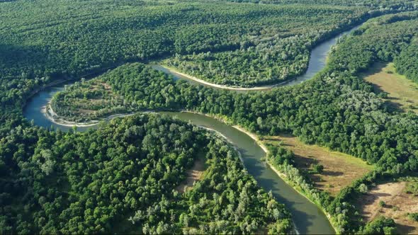 Aerial View of Winding River in Forest alt