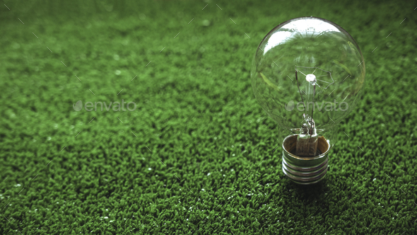 Light bulb on the green grass.The concept of energy saving, renewable energy and environmentally fri