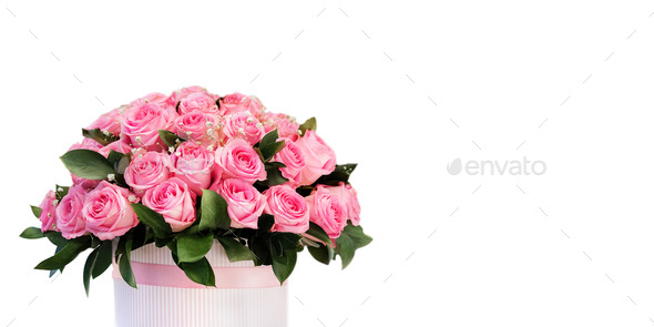 Bouquet of pink roses in the box isolated on white background. Congratulations on March 8