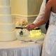 Bride and groom at their wedding reception cutting the wedding cake - PhotoDune Item for Sale
