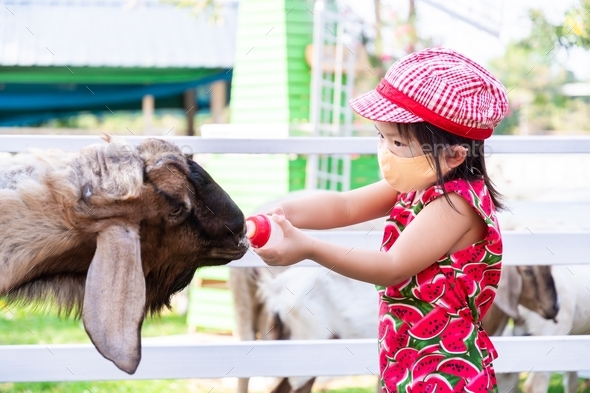 Cute girl wearing face mask is feeding milk the animals.