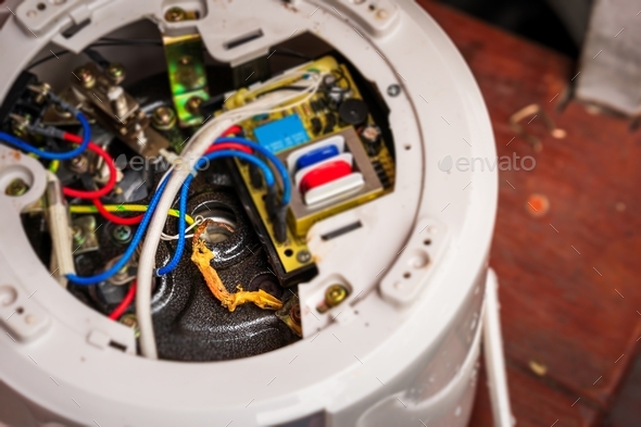 A dead lizard remains in the circuit of the electric rice cooker. Stock ...