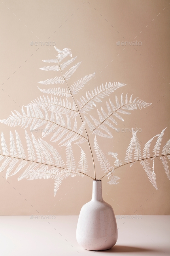 Floral composition of branch fern in vase on beige background. Botany styled. Art concept.