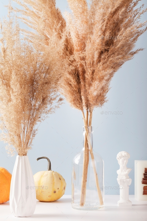 Dried pampas grass in vases with pumpkins and candle on white and blue