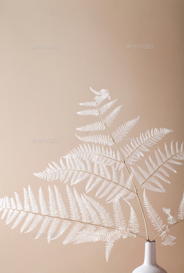 Floral composition of branch fern in vase on beige background. Botany styled. Art concept