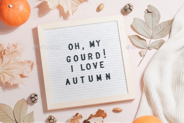 felt letter board and text oh my gourd i love autumn with leaves, pumpkins and sweater
