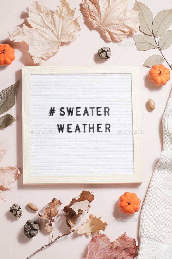 felt letter board and text sweater weather with hashtag and leaves, pumpkins, sweater