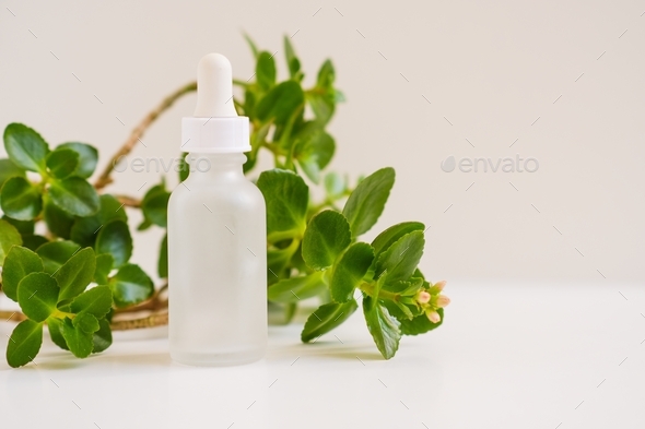 White bottle with dropper from serum on white neutral natural light background. Skin care, peptides.