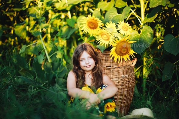 summer inspiration - Stock Photo - Images