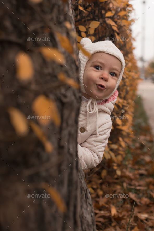 A cute little girl looks out from behind a tree and says peek-a-boo in the park in autumn.