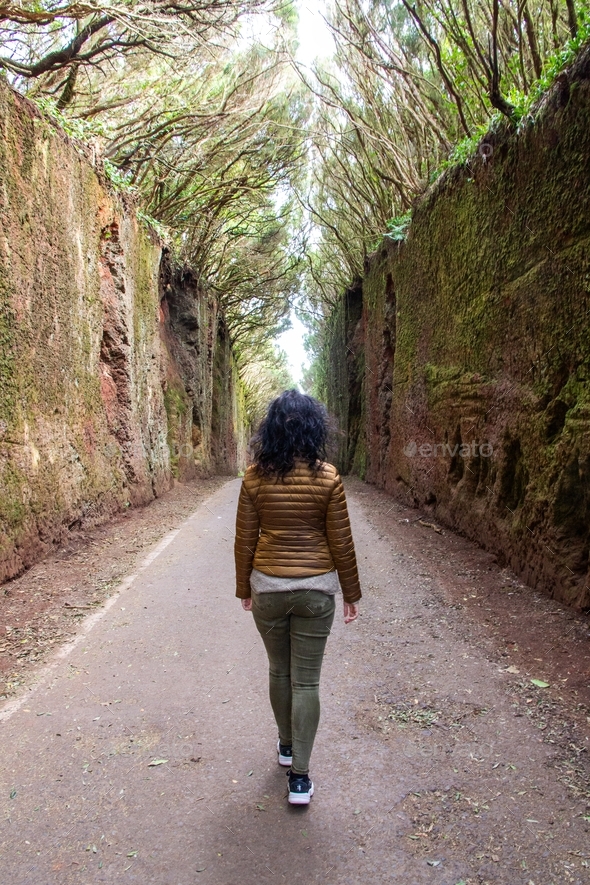 Woman walking between moss walls by old road, fairy tail, forest, Tenerife, anaga rural park