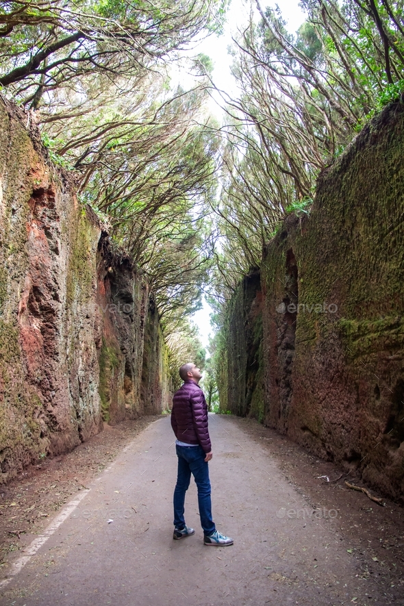Woman looking moss walls on the old road, fairy tail, forest, Tenerife, anaga rural park, enchanting
