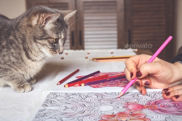 A cat observing a woman coloring the color book