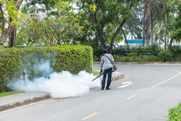 Man control Mosquito sprayer killing insects and fogging to eliminate mosquito